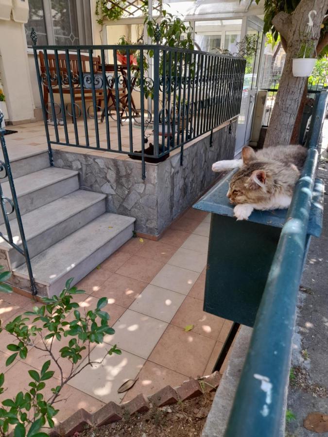 Friendly Philoxenia Apartment ซานธี ภายนอก รูปภาพ