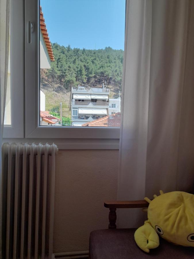Friendly Philoxenia Apartment ซานธี ภายนอก รูปภาพ